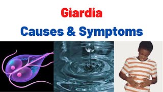 Giardiasis Fatty Stool SymptomsCauses Treatment Summary What is Giardia Giardia lamblia [upl. by Leumas13]