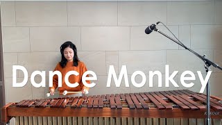 Dance Monkey  Tones and I  Marimba Cover [upl. by Ym]