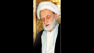 Ayatollah Bahjat  Etiquette Of Ziarat Of Imam Ali Reza as [upl. by Hgielrak714]