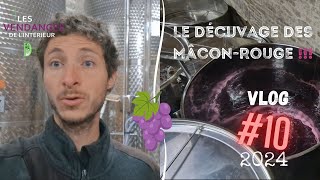 Vlog vigneron 10  Les décuvages s’enchaînent  Je réponds à une question vinification Mâcon Rouge [upl. by Enyamart]