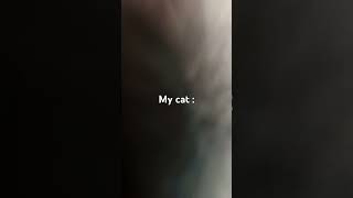 Pov my friend says I fon’t like cats  All FAKE [upl. by Nigem]