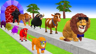 Paint amp Animals CowGorillaLionTigerFerdinand Fountain Crossing Transformation Cartoon [upl. by Enitnatsnoc]