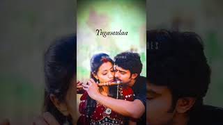 Muvvala navakalapournamiprabhashTelugu lyrical song [upl. by Rodenhouse223]