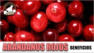 BENEFICIOS DE LOS ARÁNDANOS ROJOS [upl. by Jahdiel]