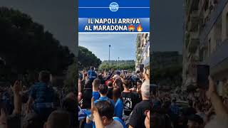 NAPOLI LECCE  Sentite LACCOGLIENZA dei TIFOSI allarrivo della squadra allo STADIO MARADONA 🔥💙 [upl. by Ielhsa973]