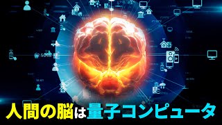 脳は実は量子コンピュータ？人間の思考能力の源はついに解明！ [upl. by Analos558]