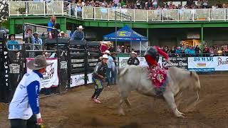 SLO Sheriffs Rodeo Bull Ride [upl. by Valentino586]