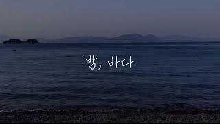 밤 바다cover [upl. by Merle]