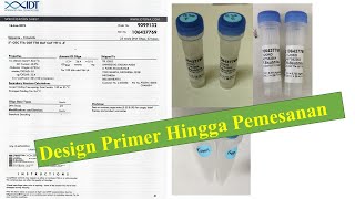 Cara Design Primer hingga Pemesanan Primer  untuk PCR [upl. by Nuzzi597]