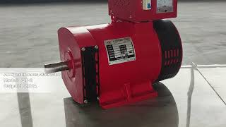 Agestar Power — ST2 Output：2KVA   Bush Alternator [upl. by Soane]