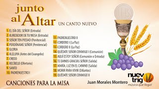 CANCIONES PARA LA EUCARISTÍA  CD JUNTO AL ALTAR 19 Juan Morales MonteroNuevoTrigo [upl. by Doran]