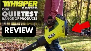 Leaf Blower REVIEW  RYOBI 18V Cordless [upl. by Leahkim]