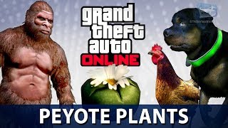 GTA Online  All 76 Peyote Plants Locations Play as an Animal in GTA Online [upl. by Ahsiekam]