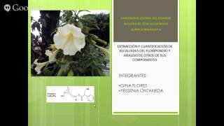 Extraccion de los Alcaloides de la Brugmasia Solanacea Floripondio [upl. by Catharina368]