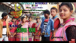 AAM SUNGI ROR LANDA NEW SOHRAY VIDEO 2020 [upl. by Ahsimot]