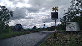 Železniční přejezd Čejkovice 3052024  Czech railroad crossing [upl. by Ahsieker]