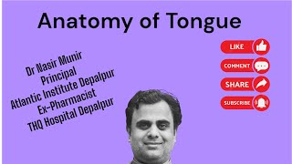 Anatomy of Tounge [upl. by Pharaoh93]