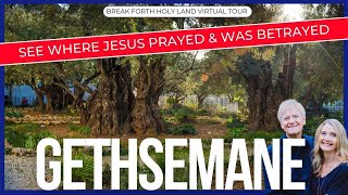 Tour The Garden Of Gethsemane in Jerusalem Where Jesus Prayed in Agony 4K Video Inspiring Guiding [upl. by Eiramac974]