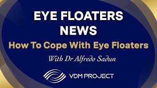 How To Cope With Eye Floaters VDM Project [upl. by Amil]