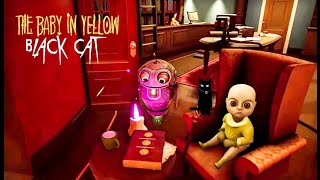 Mystical Cat  ThE BABY IN YELLOW  BLAck CAT  New VIDEO  part 2 [upl. by Zola]