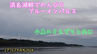 ブルーインパルス 【浜松基地航空祭2024】 [upl. by Ahsaela]