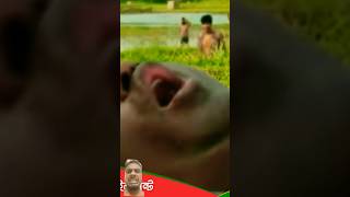 Village action natok youtube banglafunnydrama comedyfilms banglacomedydrama wood foryou [upl. by Inalaehak379]