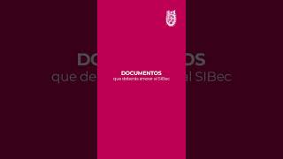 Documentos beca institucional [upl. by Michigan]