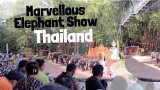 Amazing Elephant videos  Elephant show in Thailand 🇹🇭 Elephant football  elephantshow thailand [upl. by Haldes]