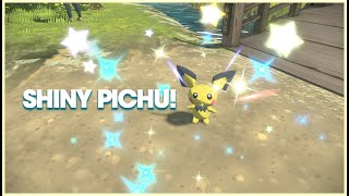 SHINY PICHU Pokémon Legends Arceus shiny hunting [upl. by Elston]