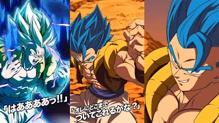 NEW PHY LR GOGETA BLUE SUPER ATTACKS ACTIVE SKILLS NULLIFLY  OST Dragon Ball Z Dokkan Battle [upl. by Nyraf]