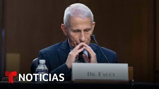 Anthony Fauci testifica en el Congreso sobre el origen del coronavirus [upl. by Hovey134]