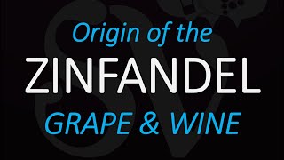 The Origin of Zinfandel  AmericanCalifornia Wine Grape History [upl. by Doak396]