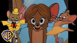 Tom amp Jerry  Fun Days with Jerry 🐭🥳  Classic Cartoon Compilation  wbkids​ [upl. by Bashuk641]