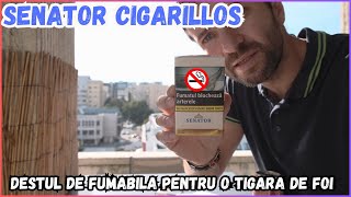 CIGARILLOS SENATOR BROWN FILTER  Bine Mai Miroase Marfa Asta Pentru Fanii Cigarillos [upl. by Mariska]