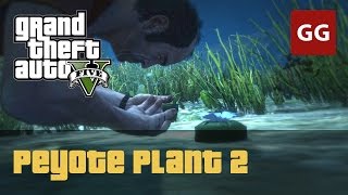 Peyote Plant 2 — GTA 5 [upl. by Ocramed776]