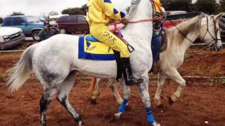 EL CARDENAL OMAR EL ALACRAN VALENZUELA CORRIDOS 2017 quot ESTRENOquot [upl. by Gauldin]