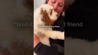 Meeting Australian labradoodle puppy with his forever family✨🧡 breeder dog labradoodles [upl. by Cirded412]