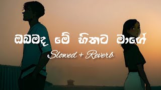 Obamada Me Hithata Mage  ඔබමද මේ හිතට මාගේ   Slowed And Reverb  UPJ MUSIC [upl. by Hobard884]