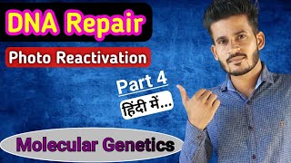 Photo reactivation  DNA Repair  Part 4  MSc CSIR NET GATE [upl. by Olette]