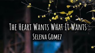 Selena Gomez  The Heart Wants What It Wants lyrics Slow reverb Female voice cover [upl. by Lobiv]