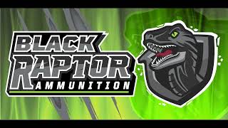 Watch Before You Buy Black Raptor 9mm Affordable and Reliable [upl. by Gant]