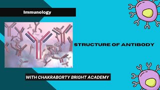 Structure of an Antibody [upl. by Susanna]