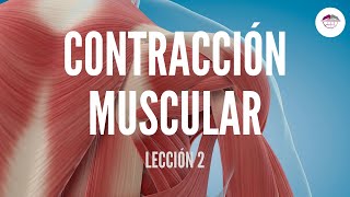 2 CONTRACCIÓN MUSCULAR FISIOLOGÍA MUSCULAR [upl. by Denis876]