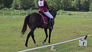 6292024 Ashlyn and Stillwater R Novice Dressage Test for Snowdonia Derby [upl. by Orling769]