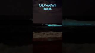 💥CHENNAI PALAVAKKAM BEACH LAA BLUE AHH MINUTHU AH 😨😍🤔 shorts short tamilnadu tamil chennai [upl. by Eimmij]