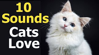 10 Sounds Cats Love To Hear The Most [upl. by Bartolomeo117]