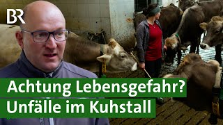 Aggressive Bullen und Kühe mit Kälbern  unterschätzte Gefahr Unfälle im Stall  Unser Land  BR [upl. by Anecuza]