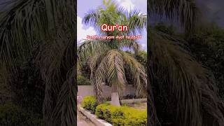 surah maryam with urdu translationAyat no2633motivationshortsfeed shortsvideoytsubscribers [upl. by Lillian434]