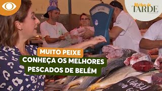 Catia encontra os melhores peixes em Belém do Pará [upl. by Salamone146]