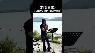 잠시 길을 잃다 busking korea [upl. by Einahpad]